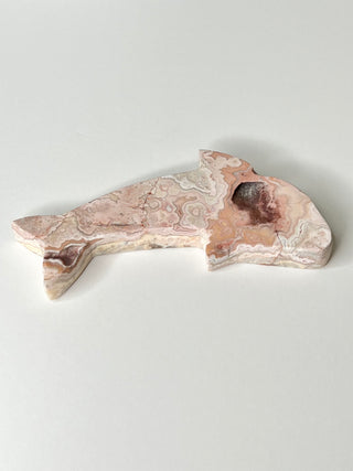 Pink Lace Dolphin Carving