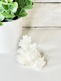 Aragonite Cluster