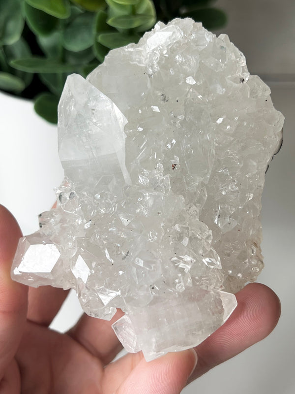 Apophyllite Geode Clusters