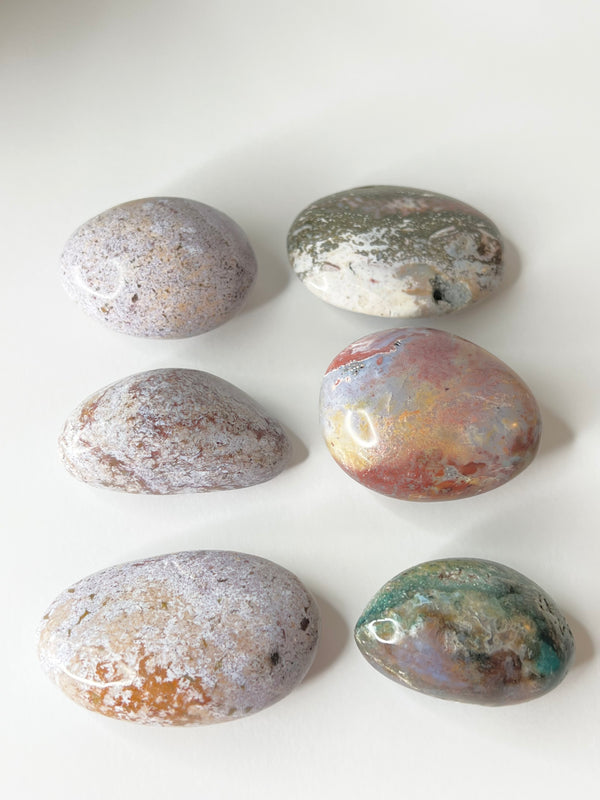 Ocean Jasper Palm