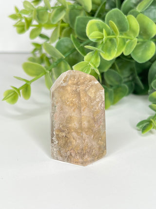 Garden Quartz Point