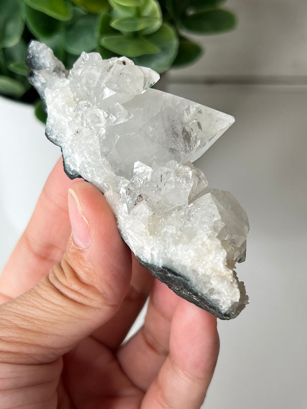 Apophyllite Geode Clusters