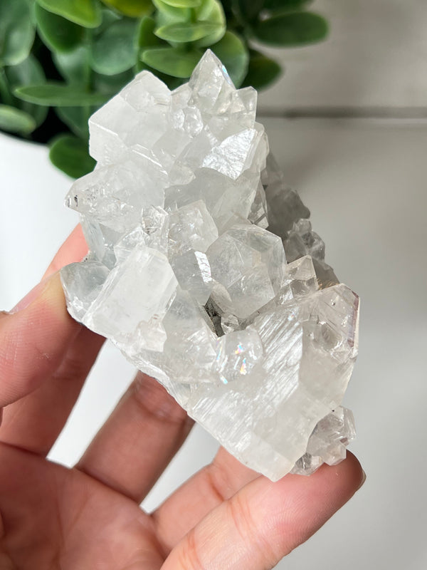 Apophyllite Geode Clusters